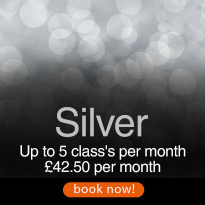 silver-packages